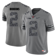 Ohio State J.K. Dobbins 2 Gray Jersey 2018 - 20193