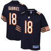 Image of Taylor Gabriel Chicago Bears Pro Line Team Color Player Jersey – Navy 2018/2019